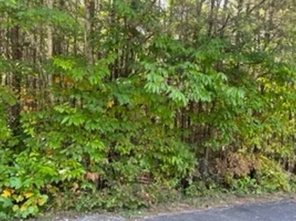 N/a Point Rd, Blairsville, GA 30512