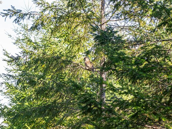 5th image of 0 Berlin Ridge Rd