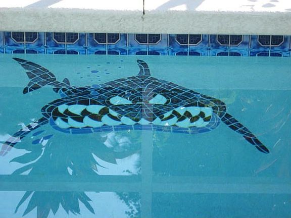 watch out !!!