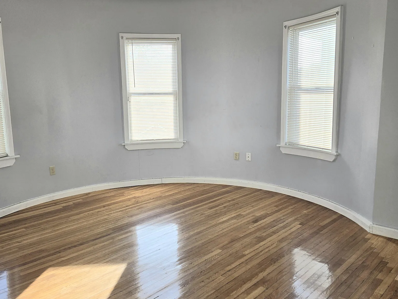Homes Ave, Dorchester — Photo 4