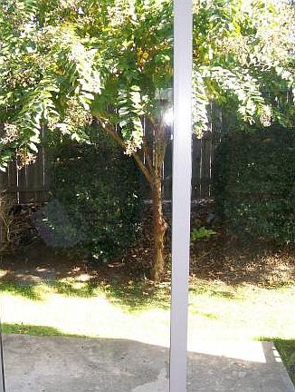 Patio View from dining