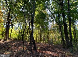 Fiery Run Rd, Linden, VA 22642