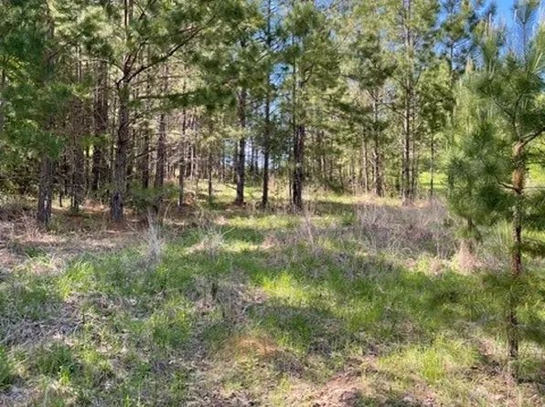 Private Road 6294 Private Rd #6294, Palestine, TX 75801