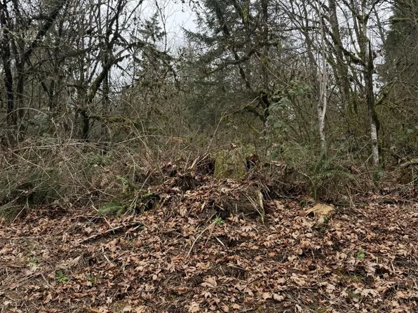 Hutchinson Rd, Rainier, OR 97048