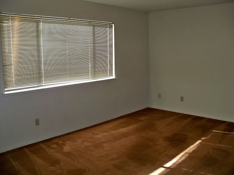 2124 Sunny Oak Ct — Photo 7