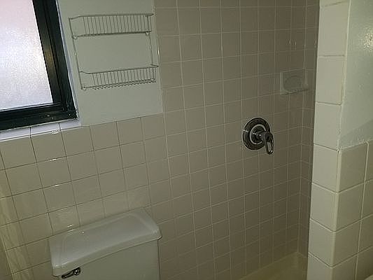 5th image of 336 E 77th St APT 15