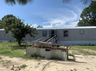 1006 Browns Pond Rd, Wagener, SC 29164