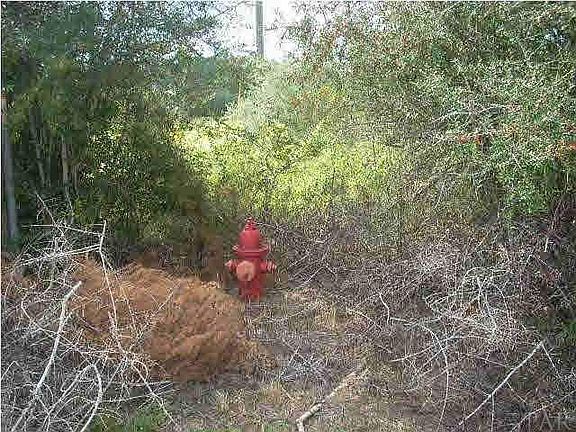 3rd image of 5201 Santa Gertrudas Dr