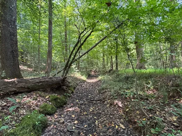 0 V Morgan Rd, Robbins, NC 27325