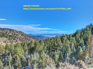 14405 Reserve Rd #13, Pine, CO 80470