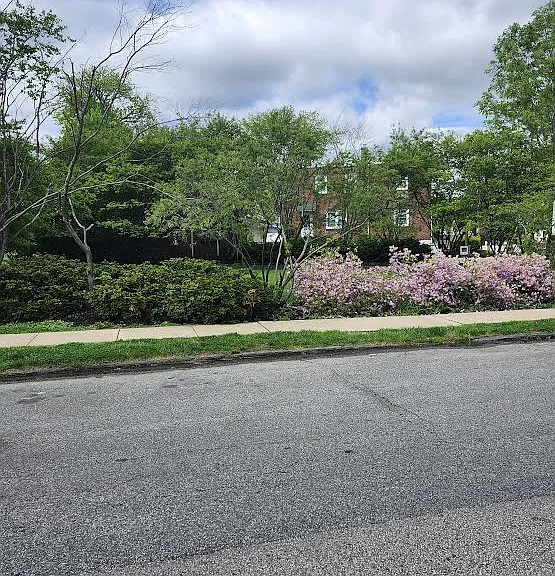 32 N Wycombe Ave #A — Photo 11
