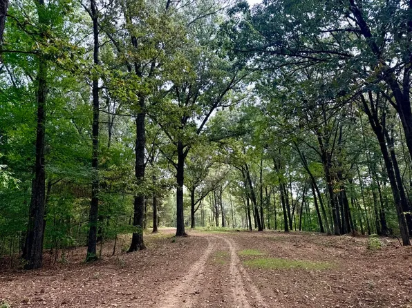 11 Antwine Rd, Gadsden, TN 38337