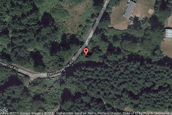 Map View