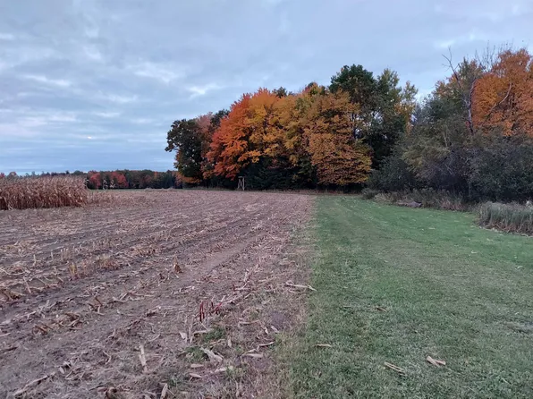 4265 Maple Rd, Rosholt, WI 54473