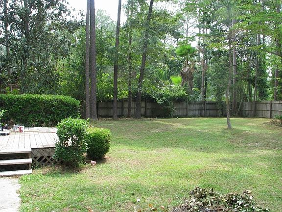 Backyard - fully fenced