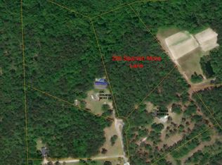 228 Spanish Moss Ln, Dorchester, SC 29437