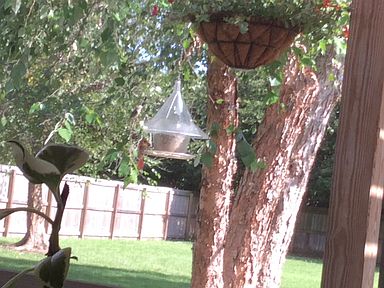 1404 Cooper River Blvd Moncks Corner Sc Zillow