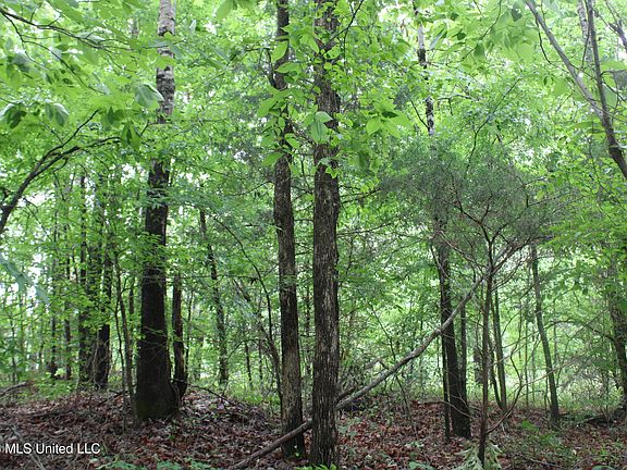 3rd image of 806 Woods Rd