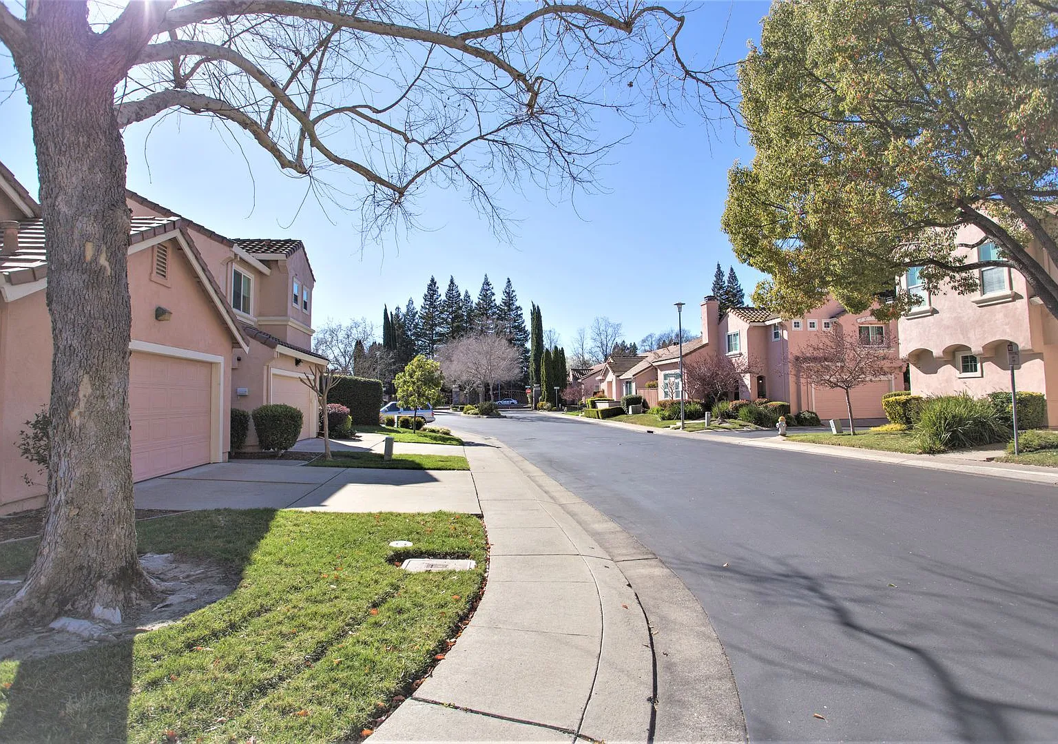 Gorgeous 3 BR/ 2 Bath in Desirable Gated Community!! — Photo 3