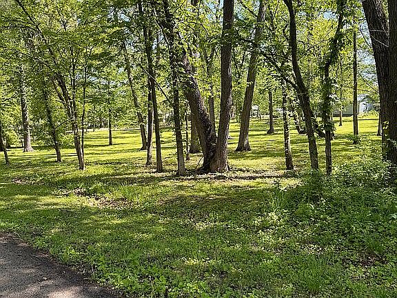 3rd image of 11371 Havenswood Rd