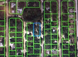 3195 N Hickory Rd, Avon Park, FL 33825