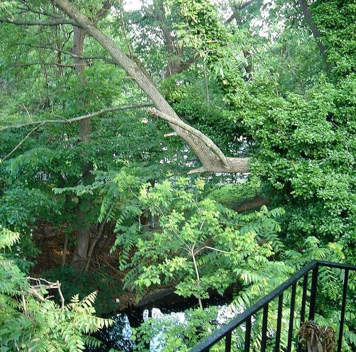 Balcony View