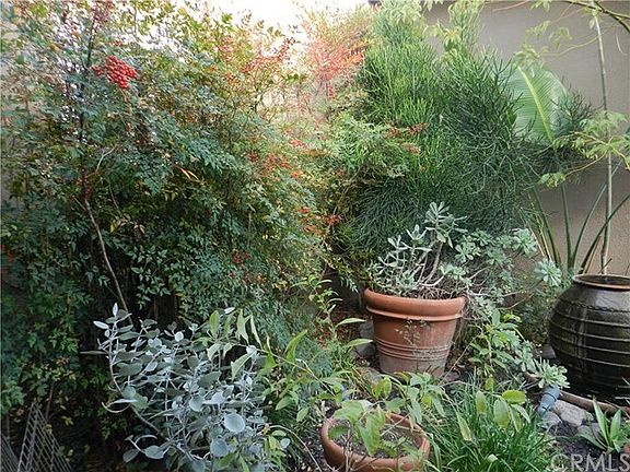 Garden Near Entryway