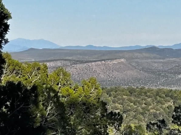 0 soaring Hawk -- #498, Seligman, AZ 86337