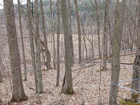 5th image of 1891 Hanna Rd