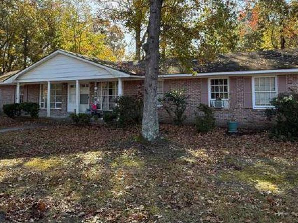 charleston-south-carolina-63780859 picture