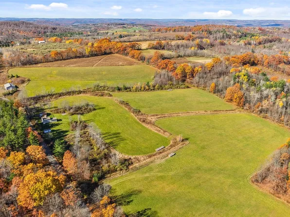 434 Robinson Rd Lot 1, Owego, NY 13827