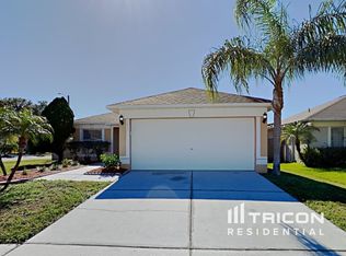 1437 Birchstone Ave, Brandon, FL 33511