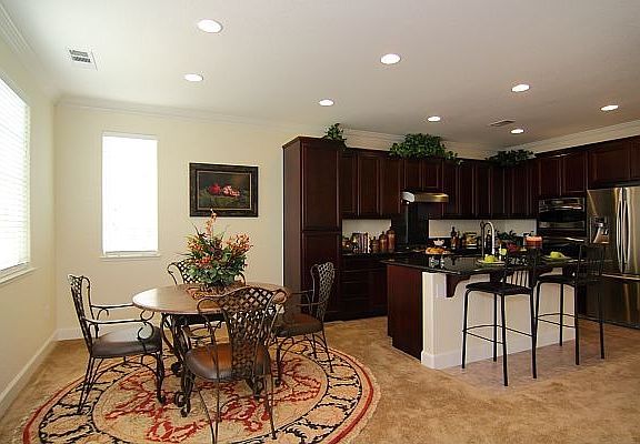 Kitchen/Family Room Combo w/ Doors Leading into Backyard