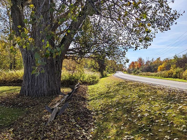 25886 County Route 42 — Photo 10