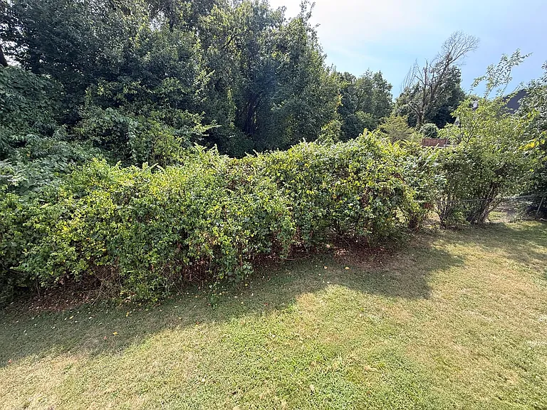 133 Hickory Valley Rd — Photo 35