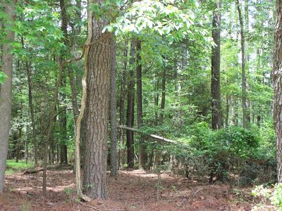 871 Broadside Dr #871, Greenbackville, VA, 23356