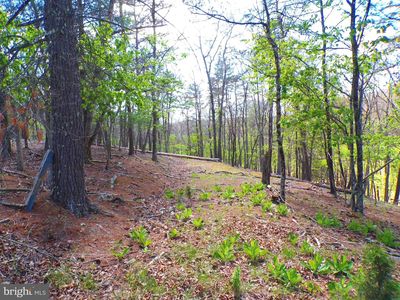 LOT 120 Crossings View Rd, Paw Paw, WV, 25434