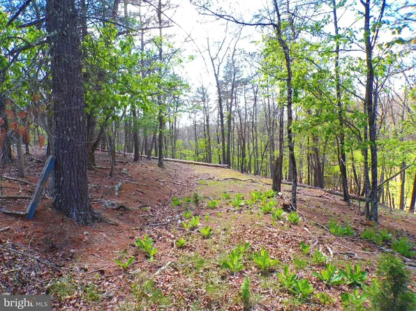 LOT 120 Cacapon Rd, Paw Paw, WV 25434