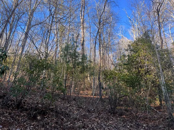 0 Happy Nest Rd, Sylva, NC 28779