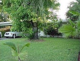 Front of house, big shady mango tree in front yard..
