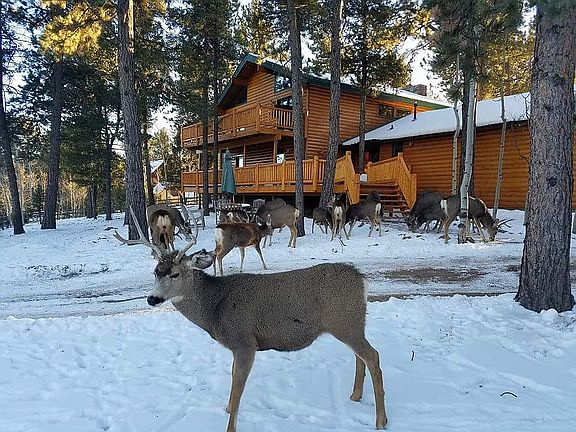 friendly neighbors
