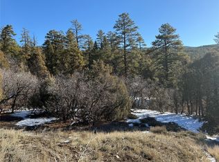 1 Township Road 9 #B, Chama, NM 87520