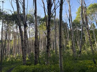 E Border Rd, Paonia, CO 81428