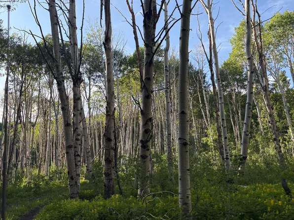 E Border Rd, Paonia, CO 81428