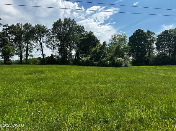 21 Catfish Ln, Crump, TN 38327