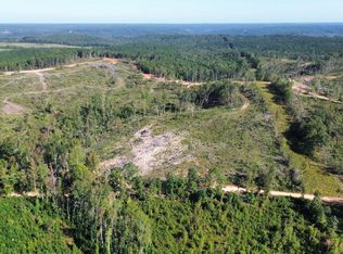 0 Reid Rd, Vina, AL 35593