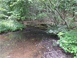 1st image of 1 Long Branch Road #1