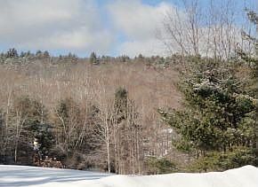 2nd image of 46 Hatfield Rd