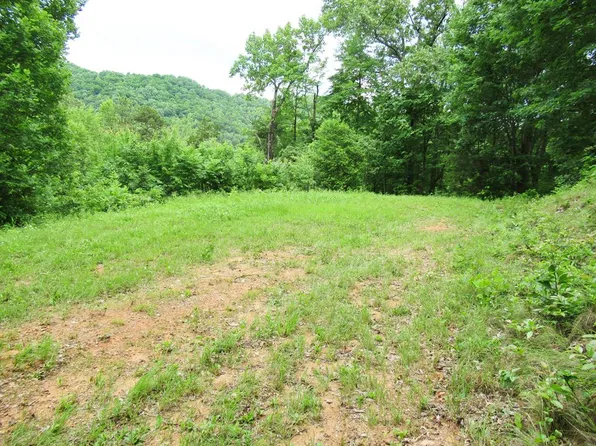 10 Berry Cove Rd, Franklin, NC 28734