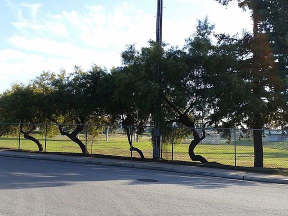 BALLPARK AROUND THE CORNER